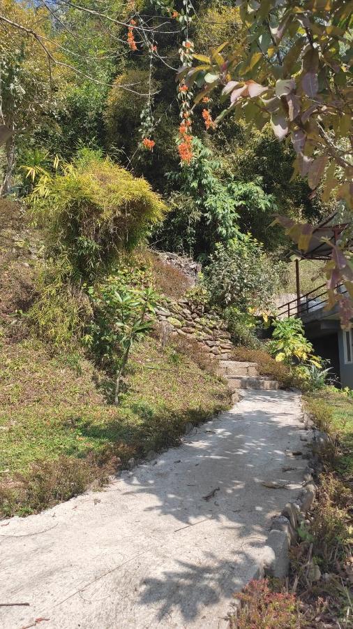 Peace Guesthouse Cottage Pokhara Eksteriør billede