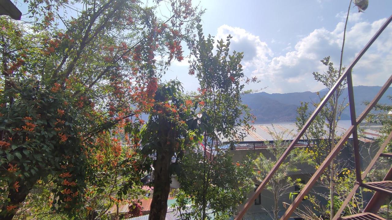 Peace Guesthouse Cottage Pokhara Eksteriør billede