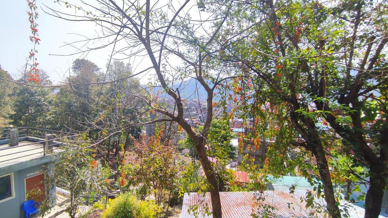 Peace Guesthouse Cottage Pokhara Eksteriør billede